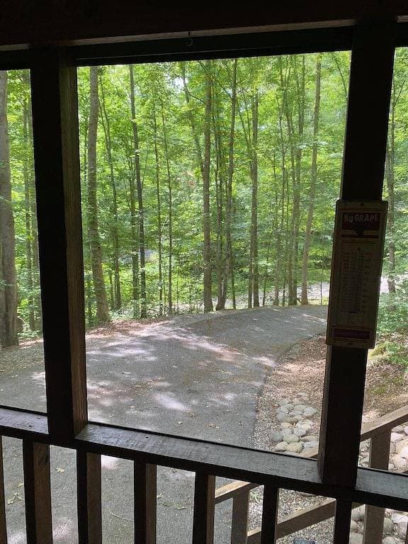 Foto 5 von 43: \"Porch and Pine\" nicht so winziges kleines Blockhaus