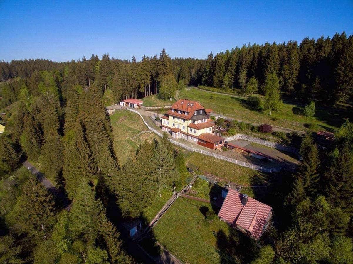 Alpaka Haus Sanssouci Tanne Oberharz 1