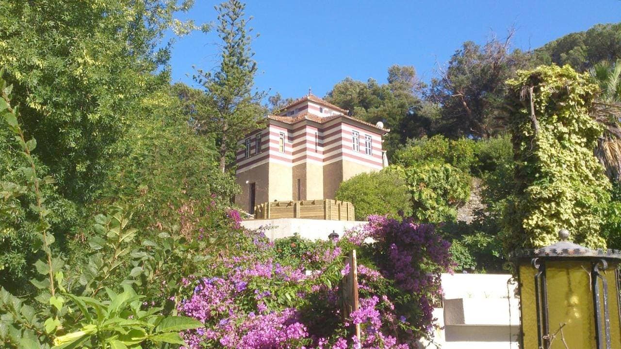 Chalet Monchique 1
