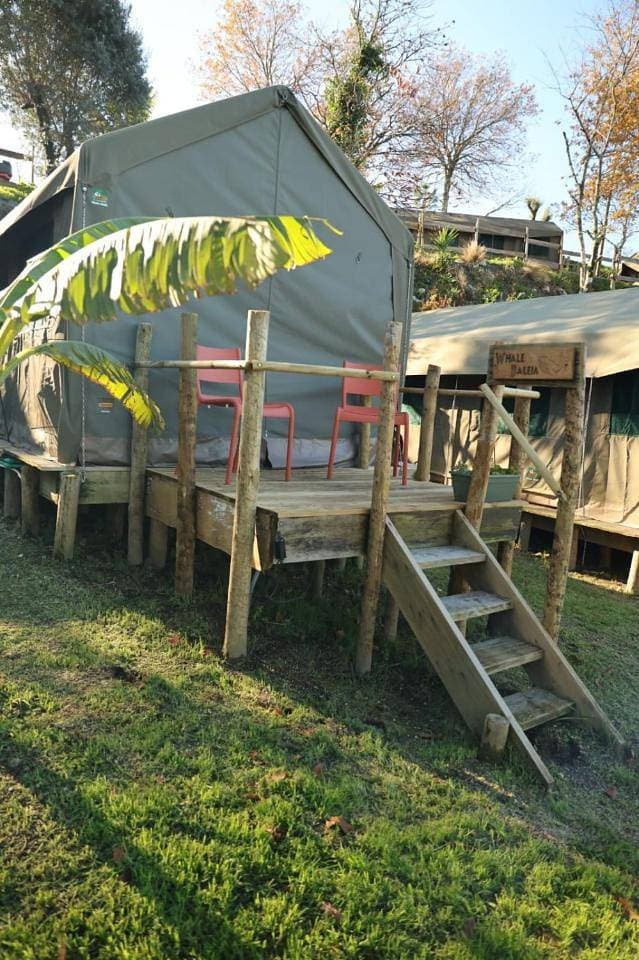 Foto 10 von 16: Tent