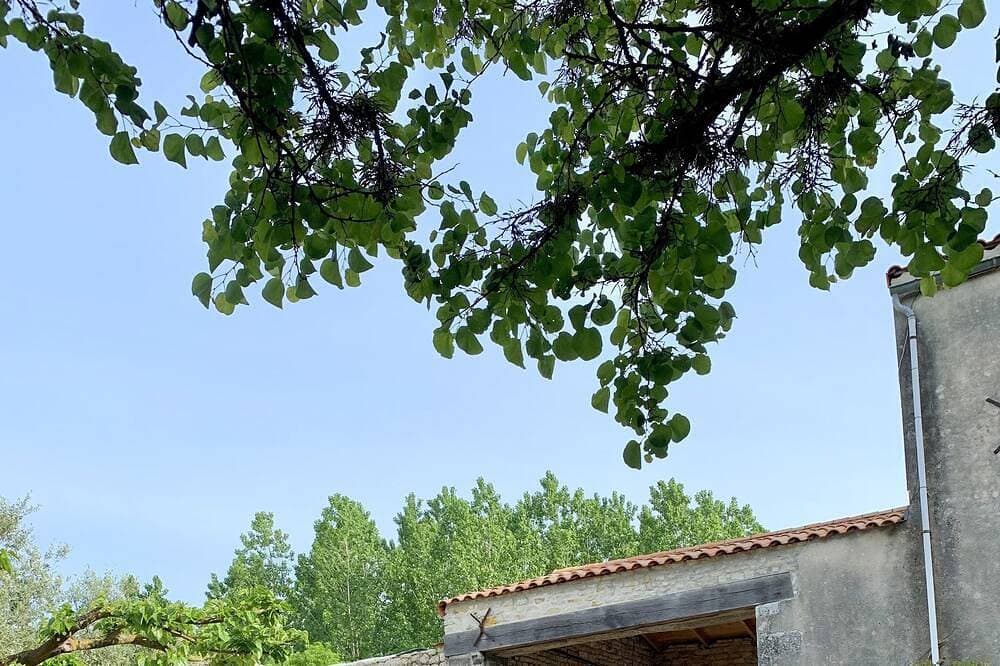 Foto 10 von 12: Rare pearl, farmhouse in La Rochelle 8-11 pers