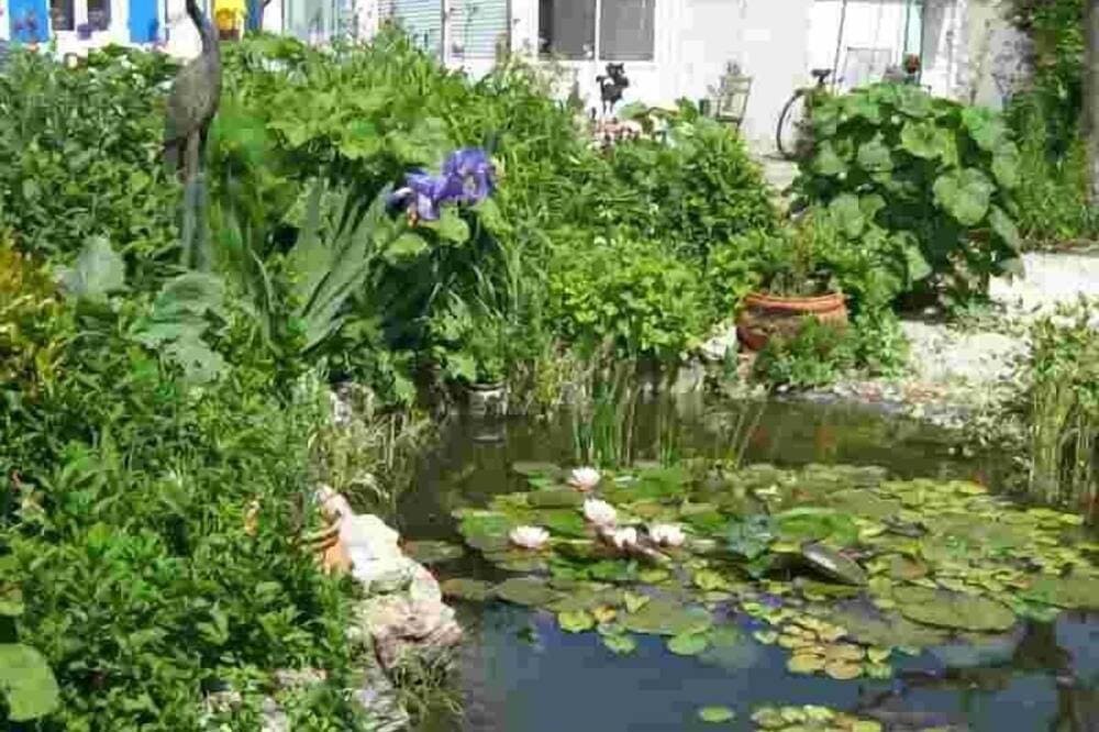 Foto 7 von 9: Haus Port Des Barques