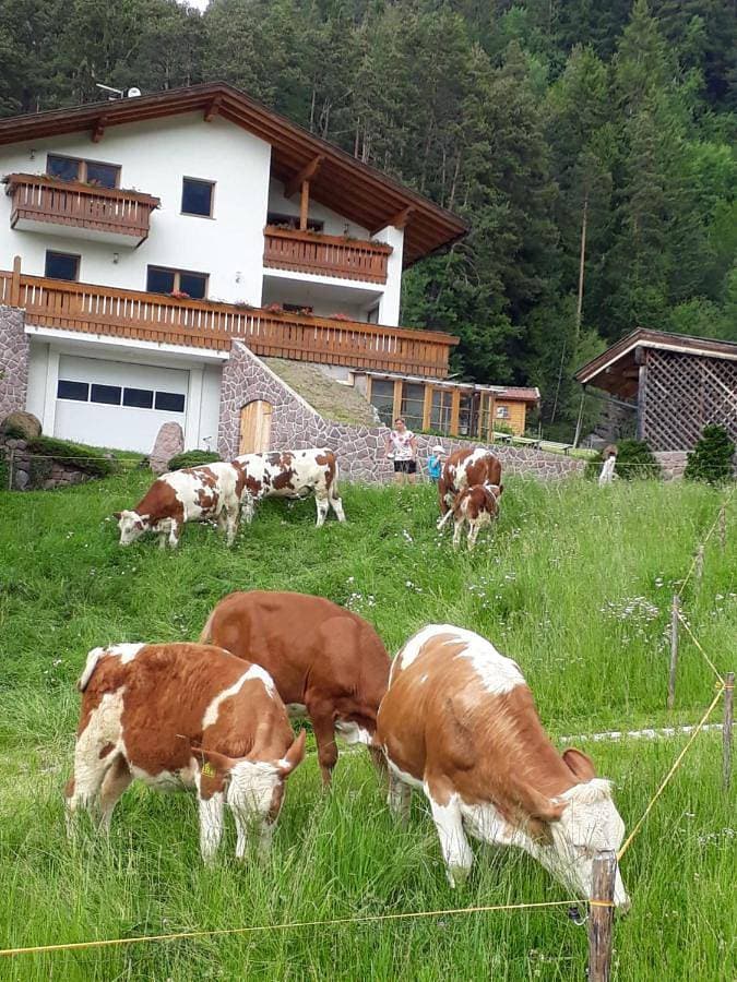 Foto 5 von 27: Apartment with Mountain View