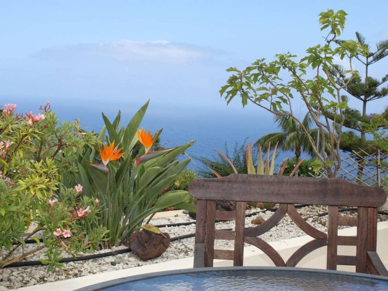 Foto 9 von 21: Bungalow in Teneriffa mit 2 Schlafzimmer