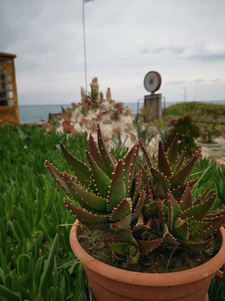 Foto 7 von 52: Apartment with Sea View