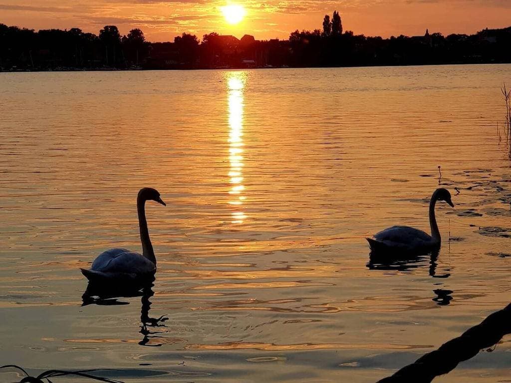 Foto 7 von 20: Winnewupp am Ruppiner See