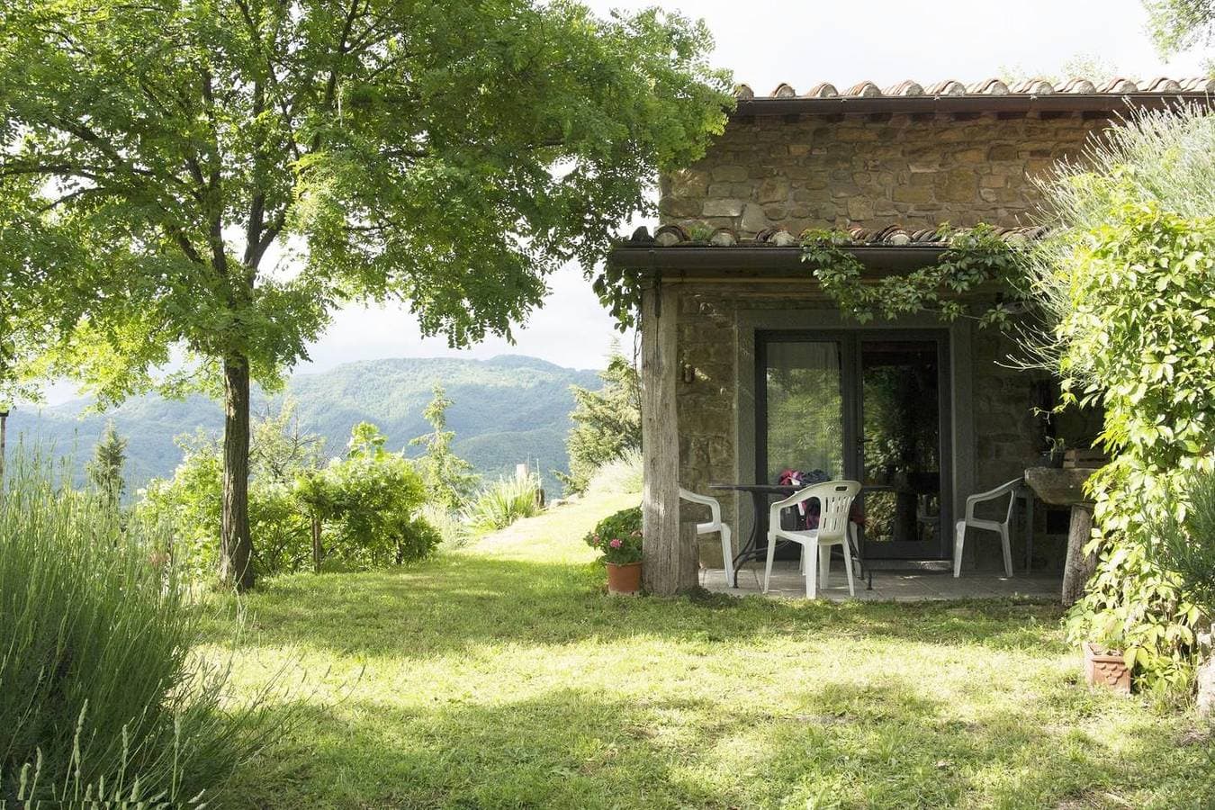 Das kleine Haus im Wald Spüren Sie die Natur 1