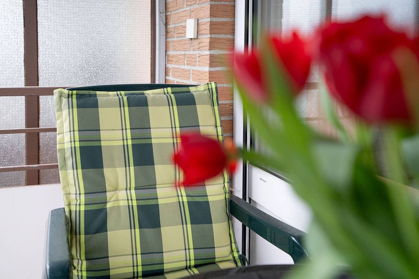 Foto 6 von 26: Ferienwohnung "Seepferdchen" bis 3 Personen (Nichtraucher)