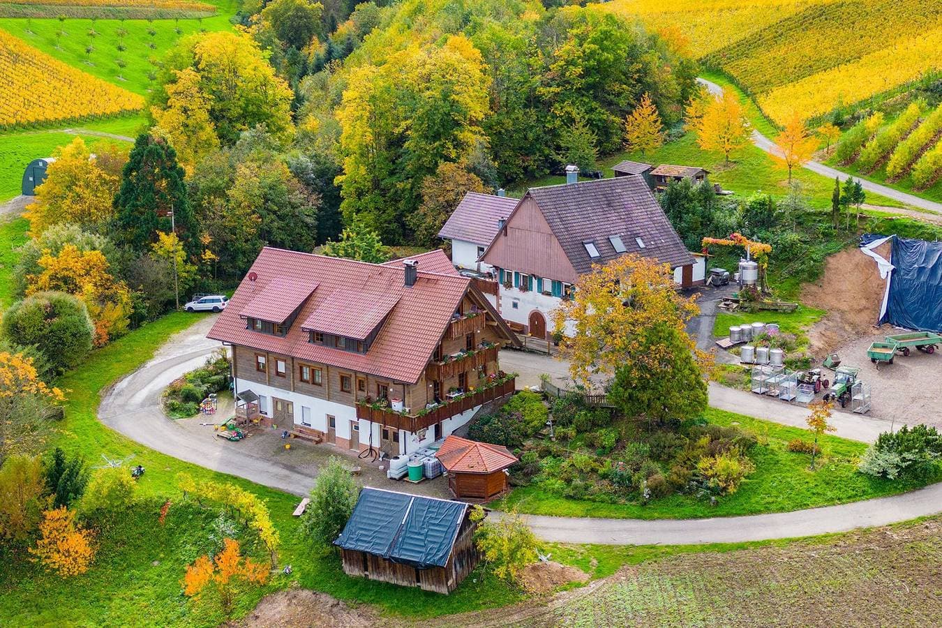 Foto 12 von 33: Ferienwohnung 'Rebberg' mit Balkon und Wi-Fi