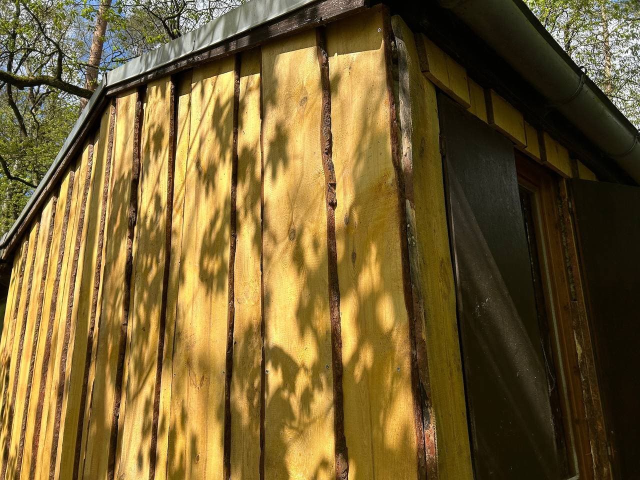 Foto 8 von 33: Gemütlicher Rückzugsort im Wald - direkt am Silbersee bei Coswig (Anhalt)