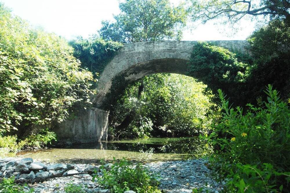 Foto 12 von 15: Levente - Patrimonio