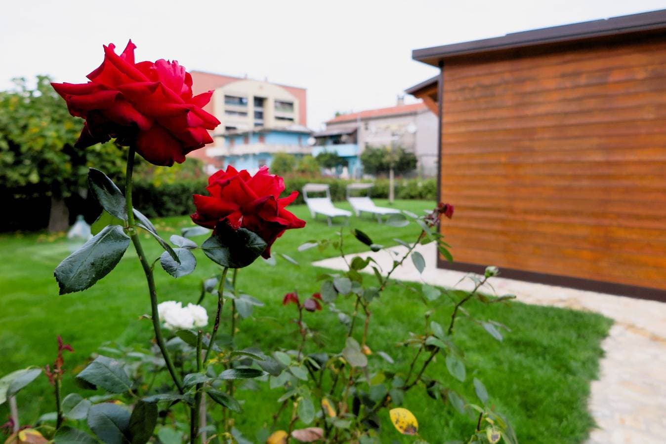 Foto 5 von 33: Die Dependance mit Garten in Pescara – 9 Min zum Meer, WLAN, Klimaanlage, Ev-Ladestation
