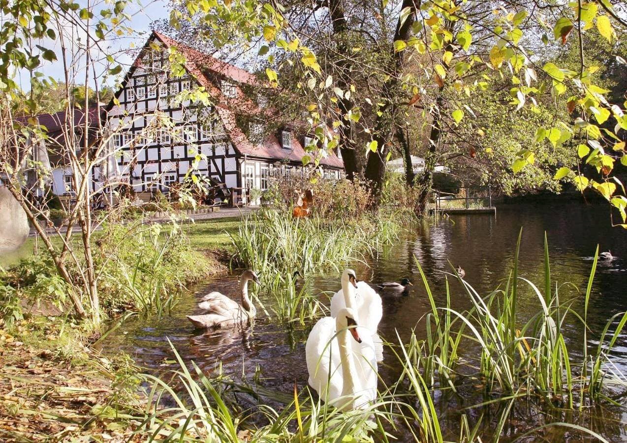 Springbach-Mühle Belzig 1