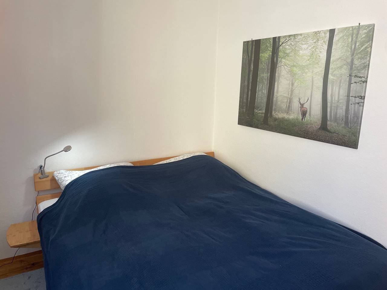Foto 2 von 14: Apartment 'Scheffelhaus' mit WLAN