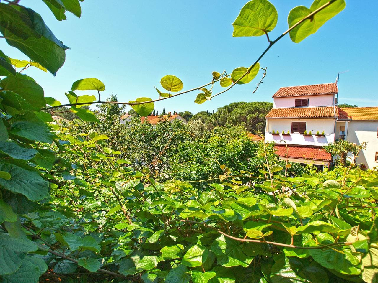 Foto 7 von 31: Ferienwohnung für 4 Personen mit Terrasse
