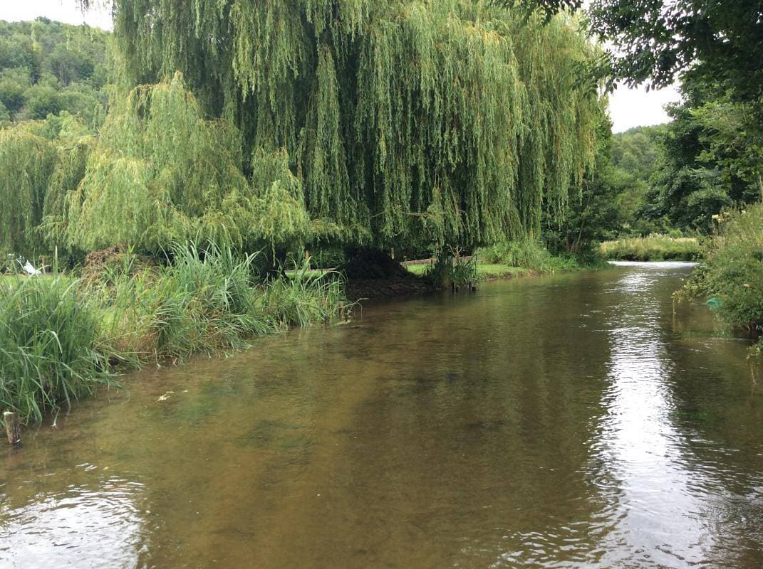 Foto 10 von 17: Gîtes de France® - La Rivière