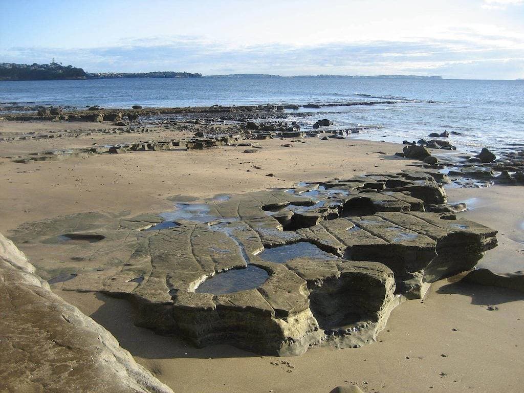 Foto 12 von 46: Küstenstudio in der schönen Mairangi Bay