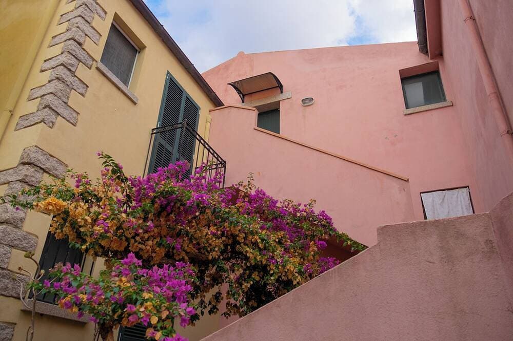 Foto 11 von 29: BouganVilla - Two-room apartment with sea view in Badesi