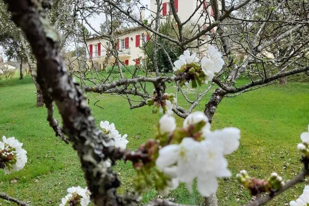 Foto 12 von 21: Geräumiges Haus mit privatem Pool und Internet in Villamblard