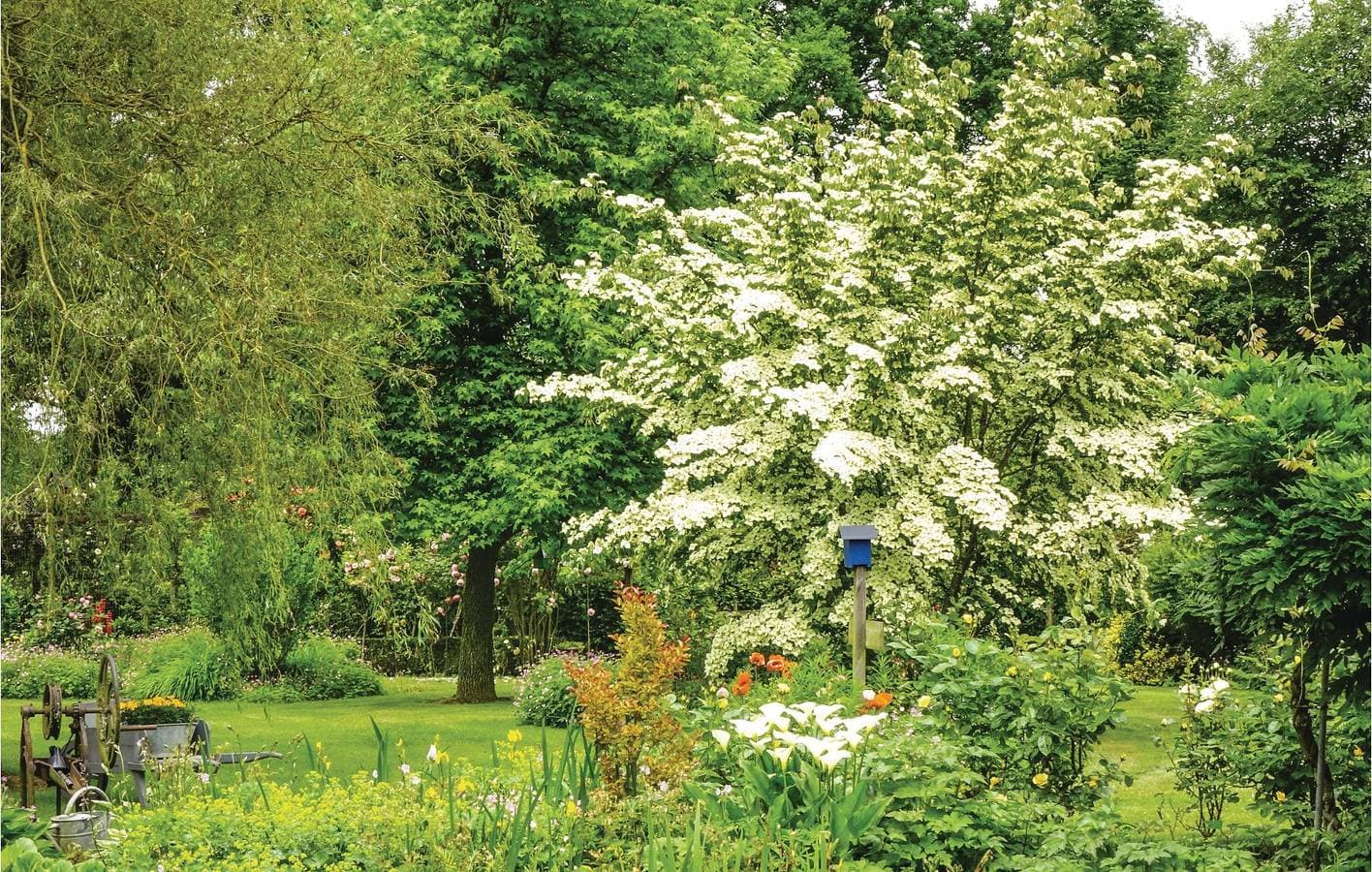 Foto 6 von 27: Gemütliche Gartenwohnung in der Nähe des Stadtzentrums mit TV und Parkplatz