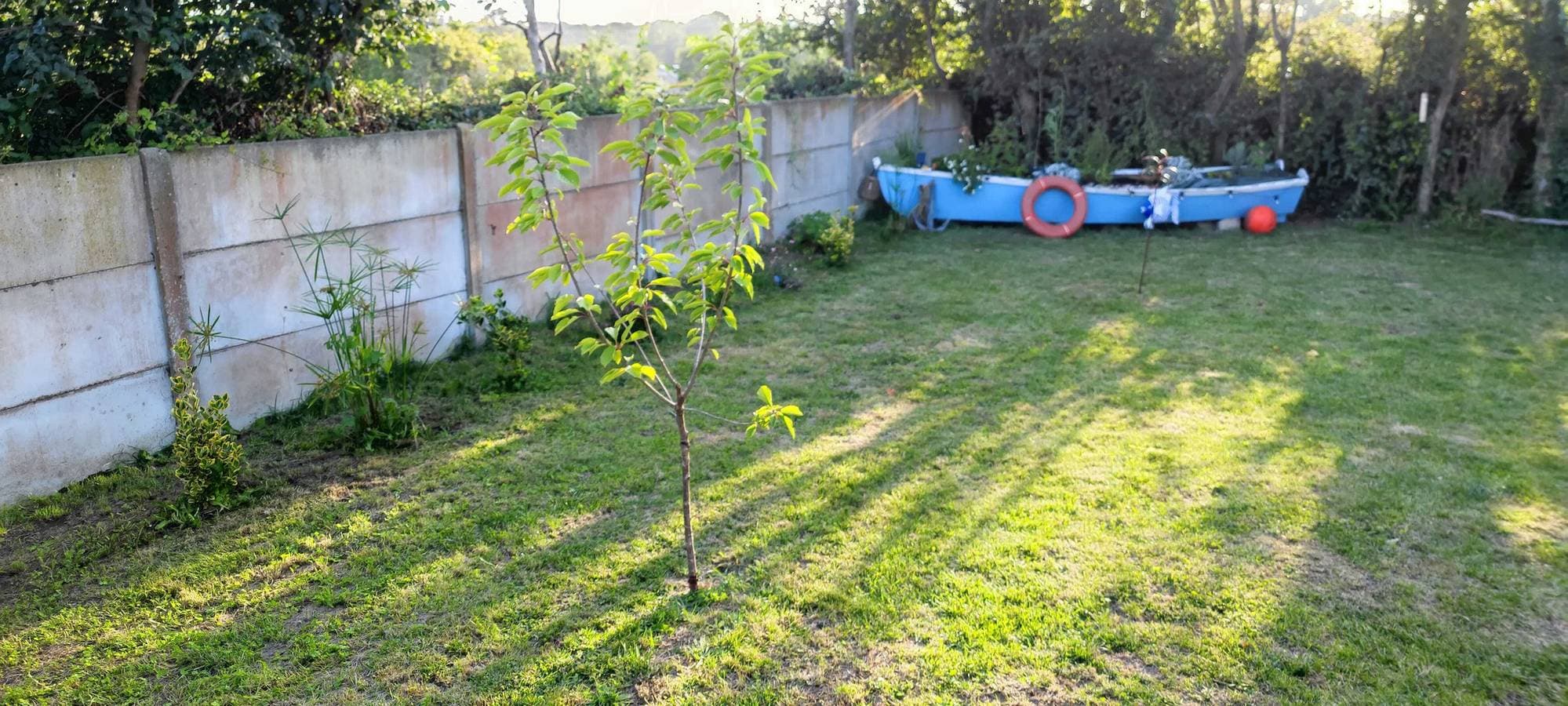 Foto 13 von 20: Komfortables Studio in Flamanville - 35 m² - Privater Garten