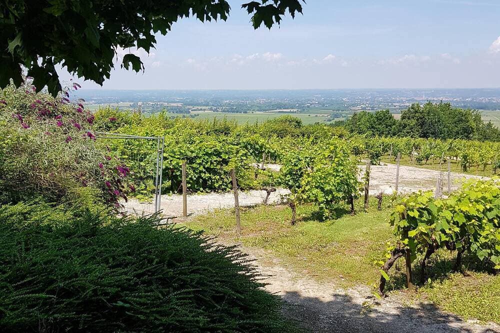 Foto 10 von 30: \"Les Mirabelles\" im ländlichen Frankreich -