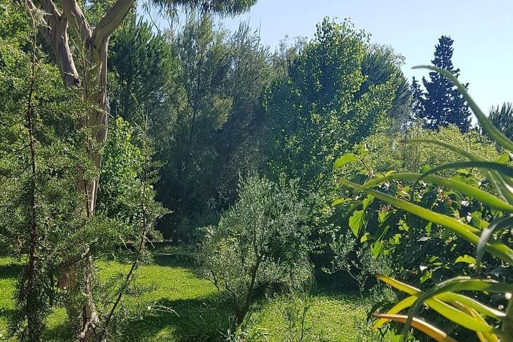 Foto 9 von 30: Schöne Lage, günstig zur Ruhe in einem Weiler in der Camargue