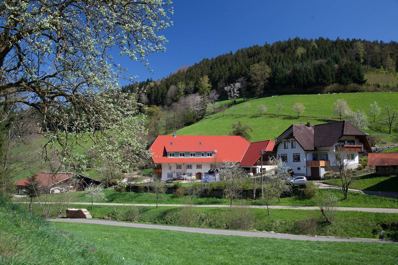 Schätzlehof 1