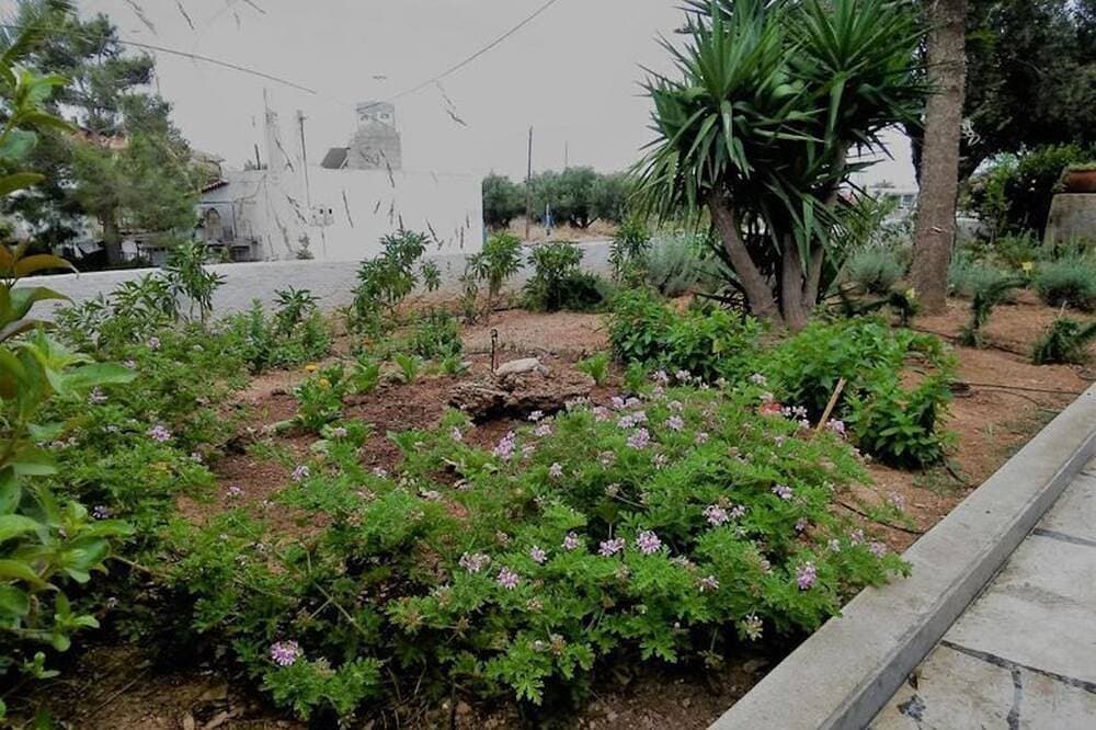 Foto 7 von 30: Apartments mit Gartenblick