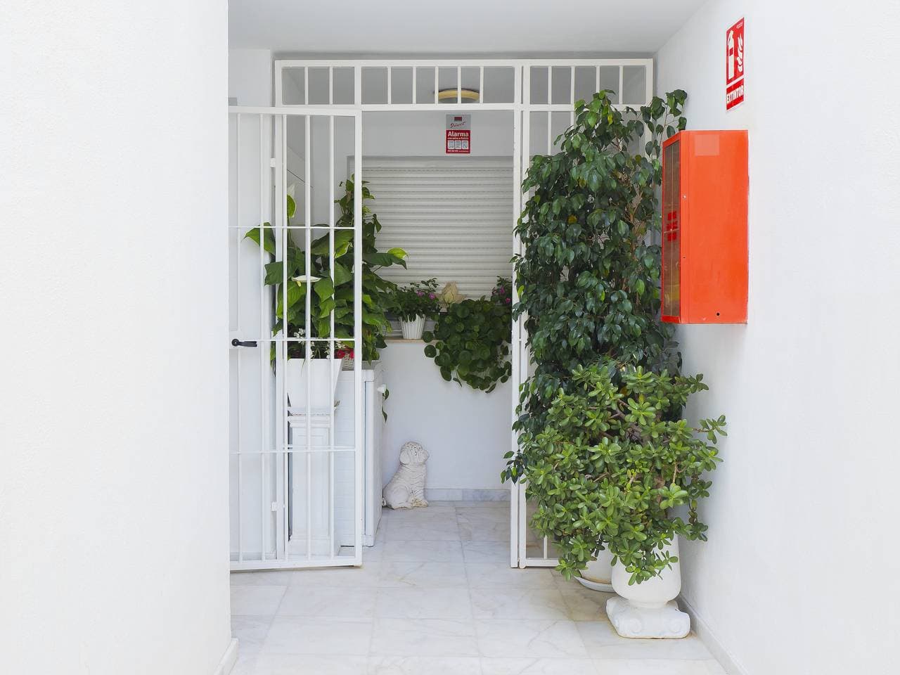 Foto 10 von 42: Cubo's Poseidon Suites 2 & Pool for Adults