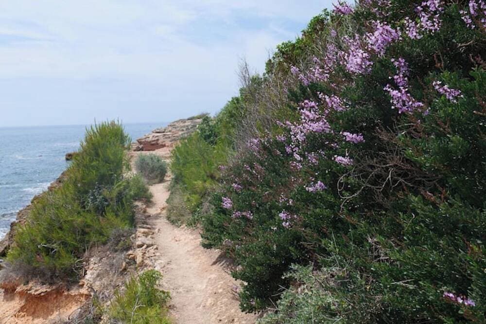 Foto 10 von 16: \"cala Almendrita\" Appartement 2 Chambres + Rooftop