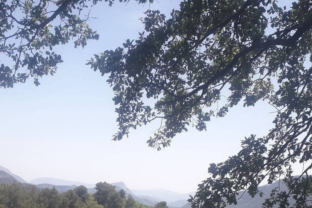 Foto 4 von 5: Nature and permaculture bungalow