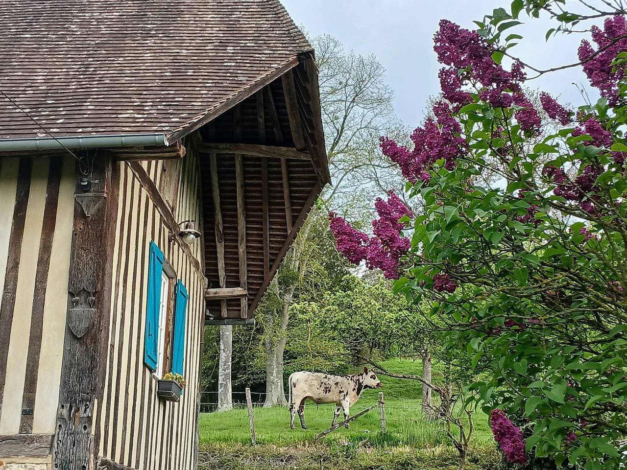 Foto 7 von 38: Aux Prés Rousselins im Pays d'Auge – Gästezimmer L’école
