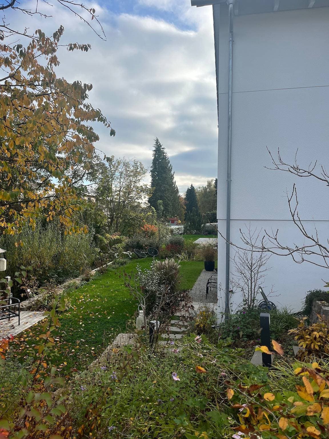 Foto 13 von 13: Ferienwohnung 'Feigental' im Grünen mit Terrasse