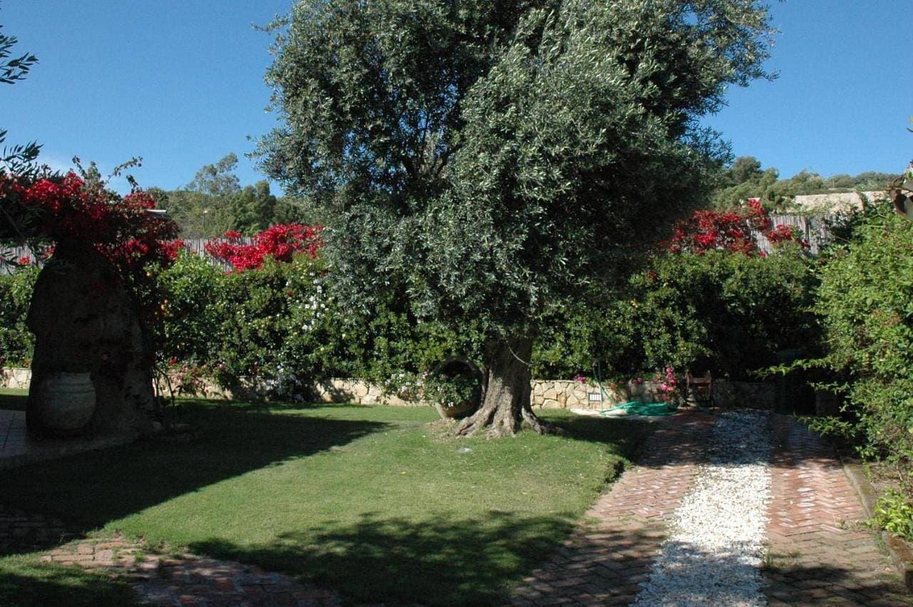 Foto 12 von 48: Villa