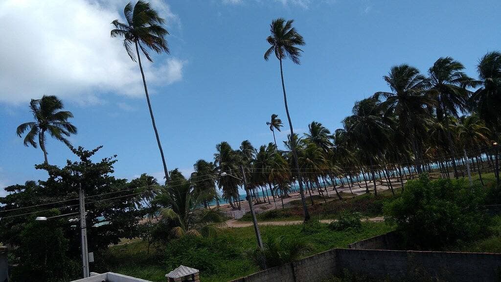 Beach In Home Serrambi 1