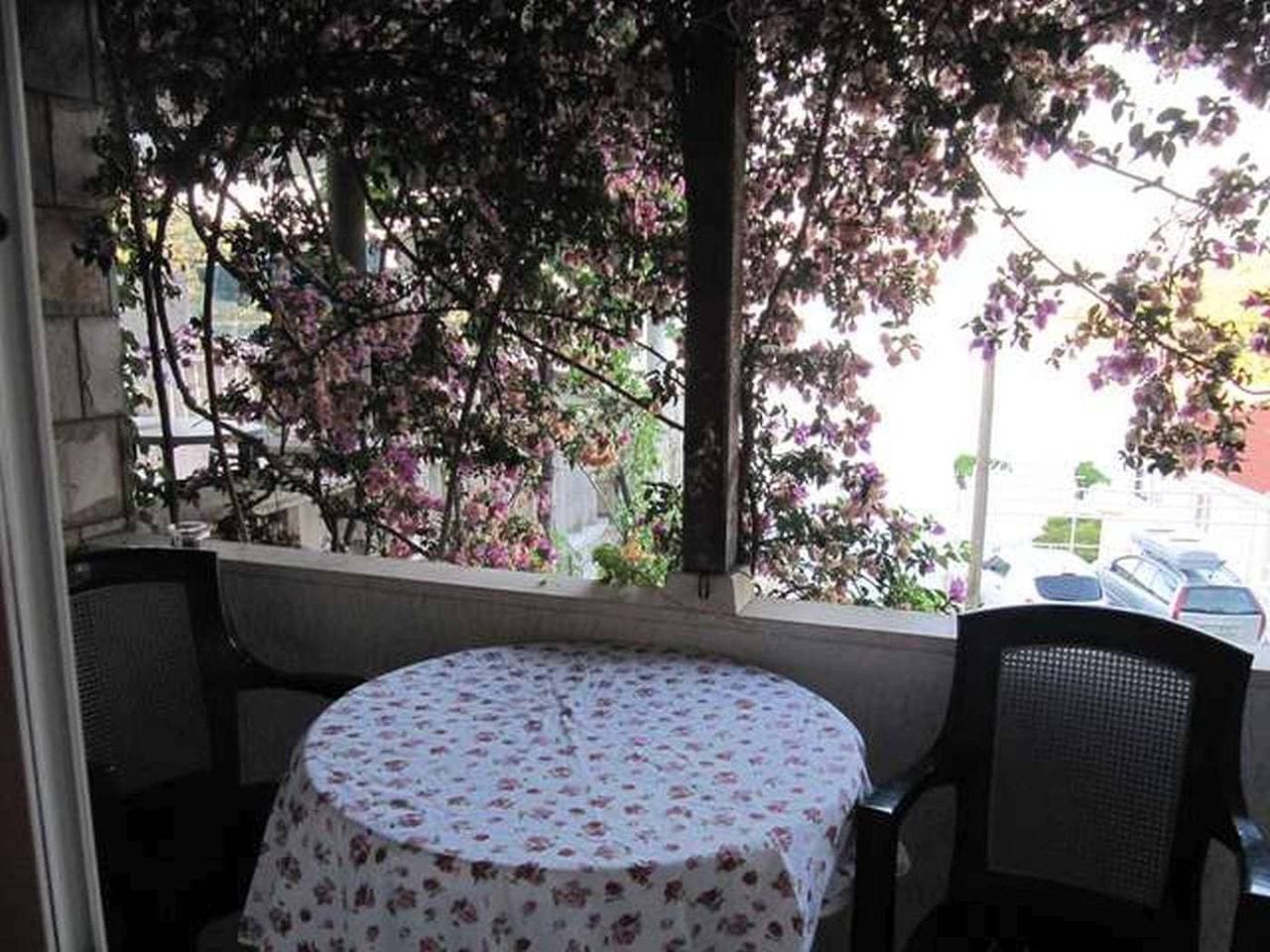 Foto 13 von 49: Ferienwohnung in Saplunara mit Meerblick, Balkon, Klimaanlage, W-Lan (5197-1)