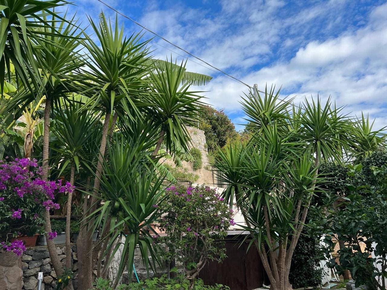 Foto 13 von 65: Holiday Home