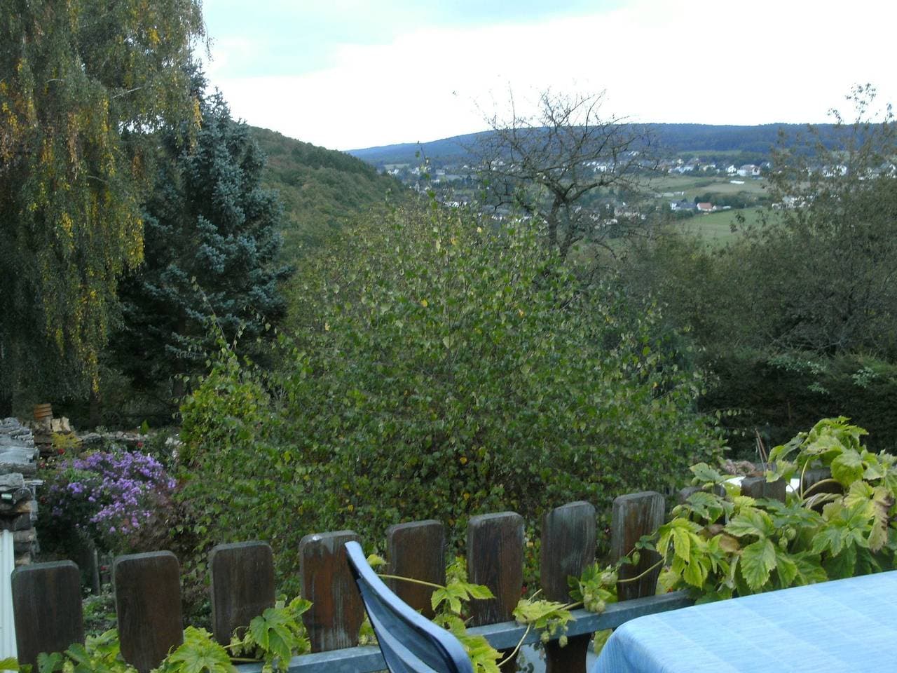 Foto 13 von 57: Wohnung in Morbach nahe Skilift