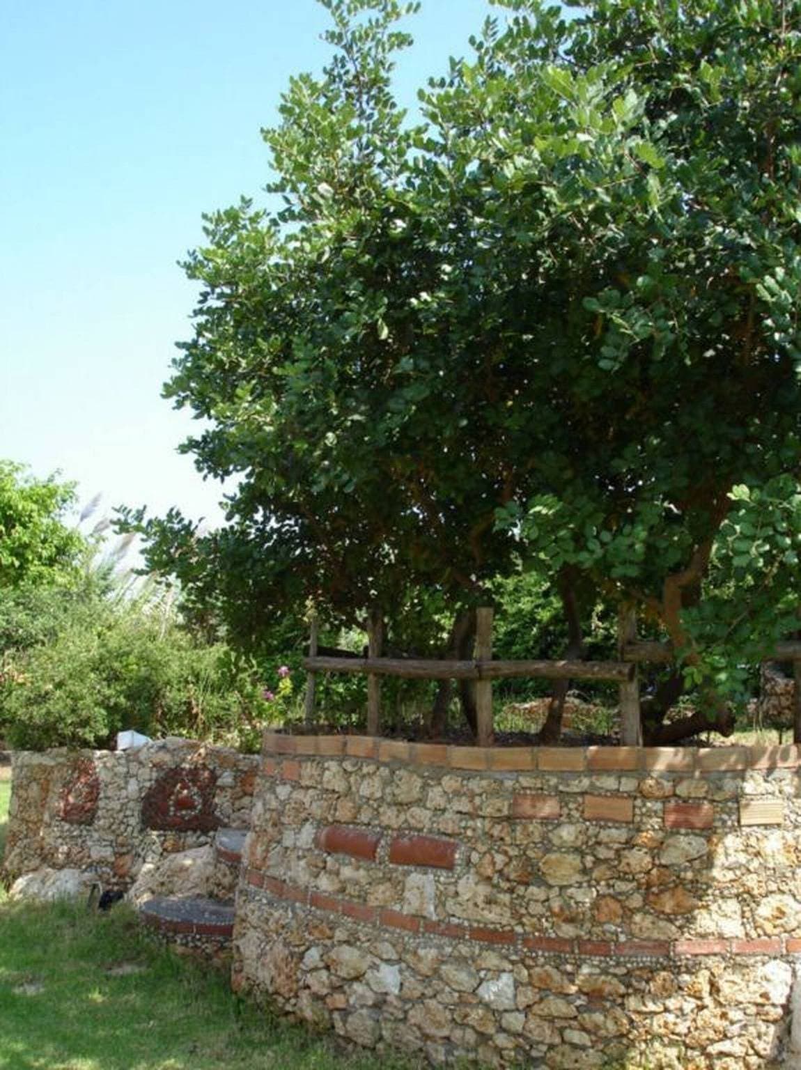 Foto 10 von 24: Schönes Studio mit Gemeinschaftspool und schönem Garten