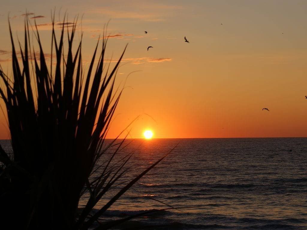 Foto 5 von 34: \"Oceans Edge\" ~ Neu!  Himmel!  Schauen Sie sich die Aussicht vom Balkon aus an