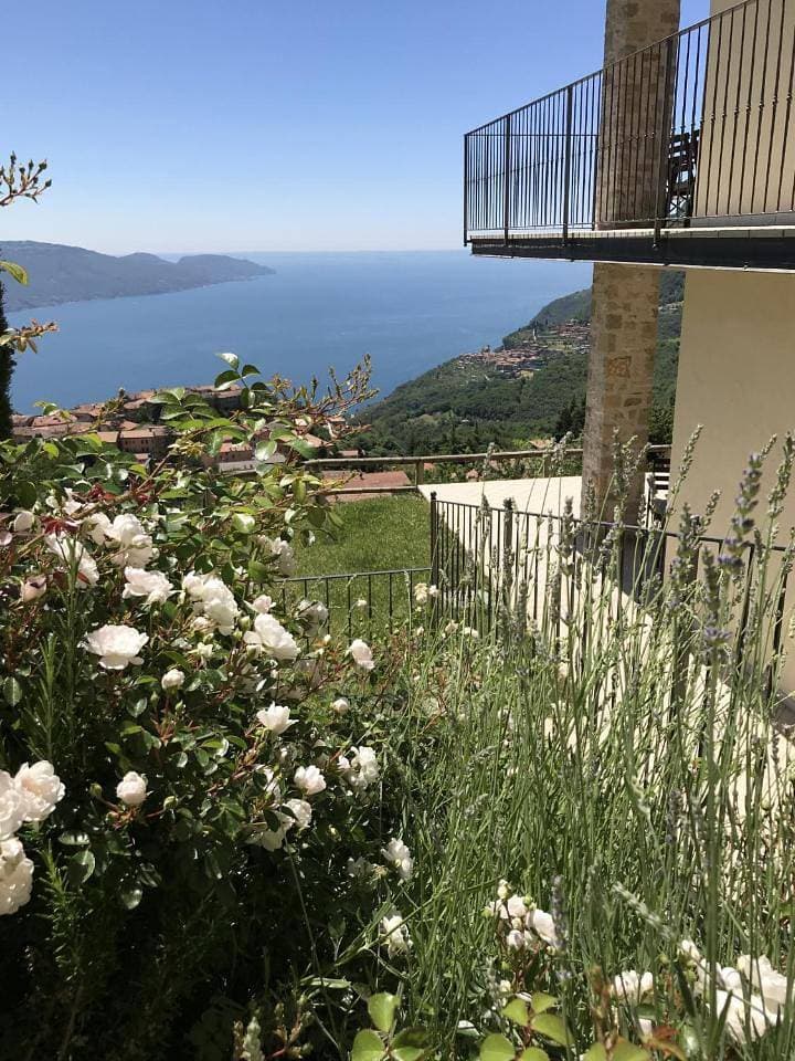 Foto 9 von 46: Apartment with Garden View