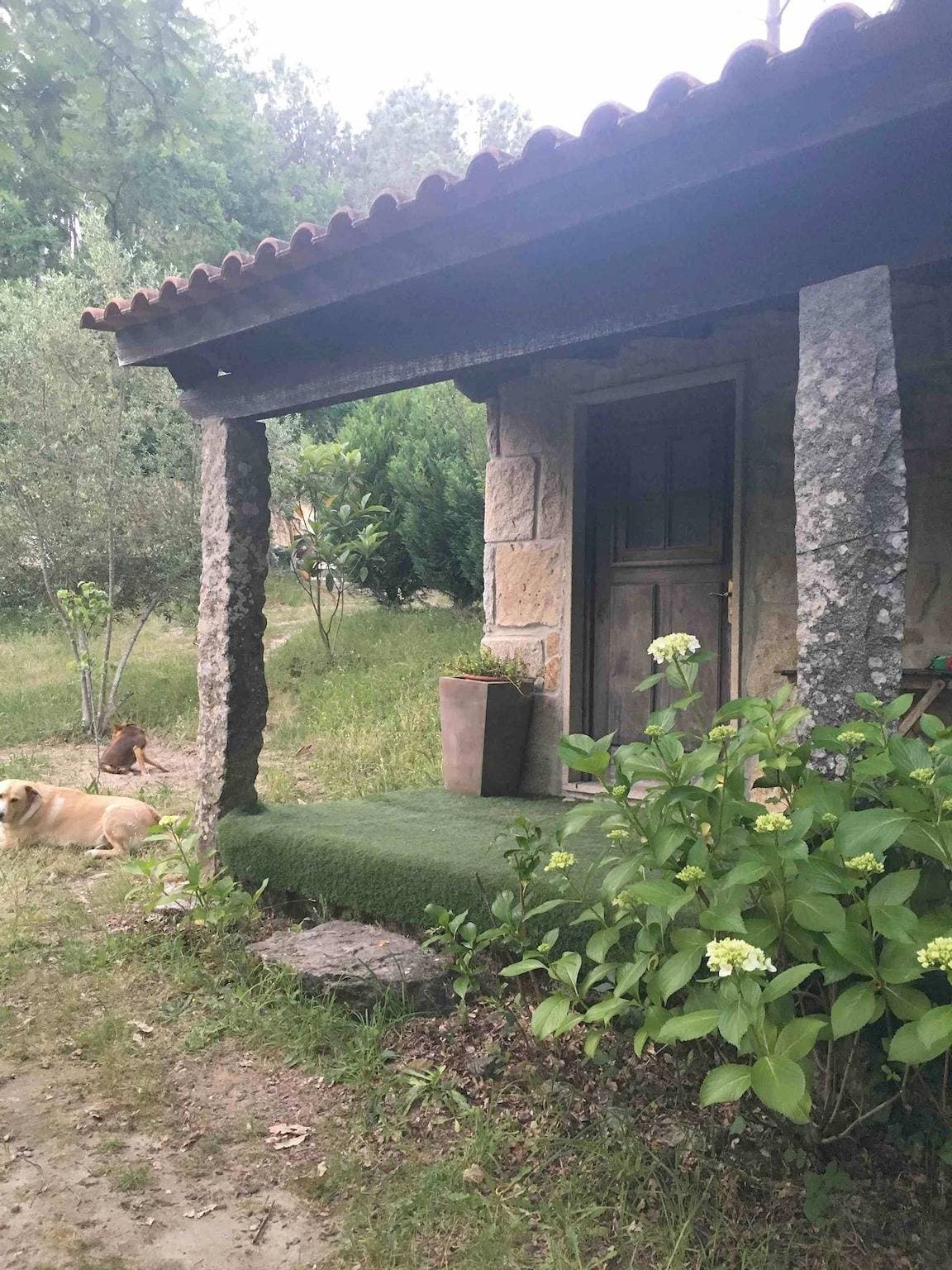 Foto 3 von 30: Waldhaus casinha do Carvalhal