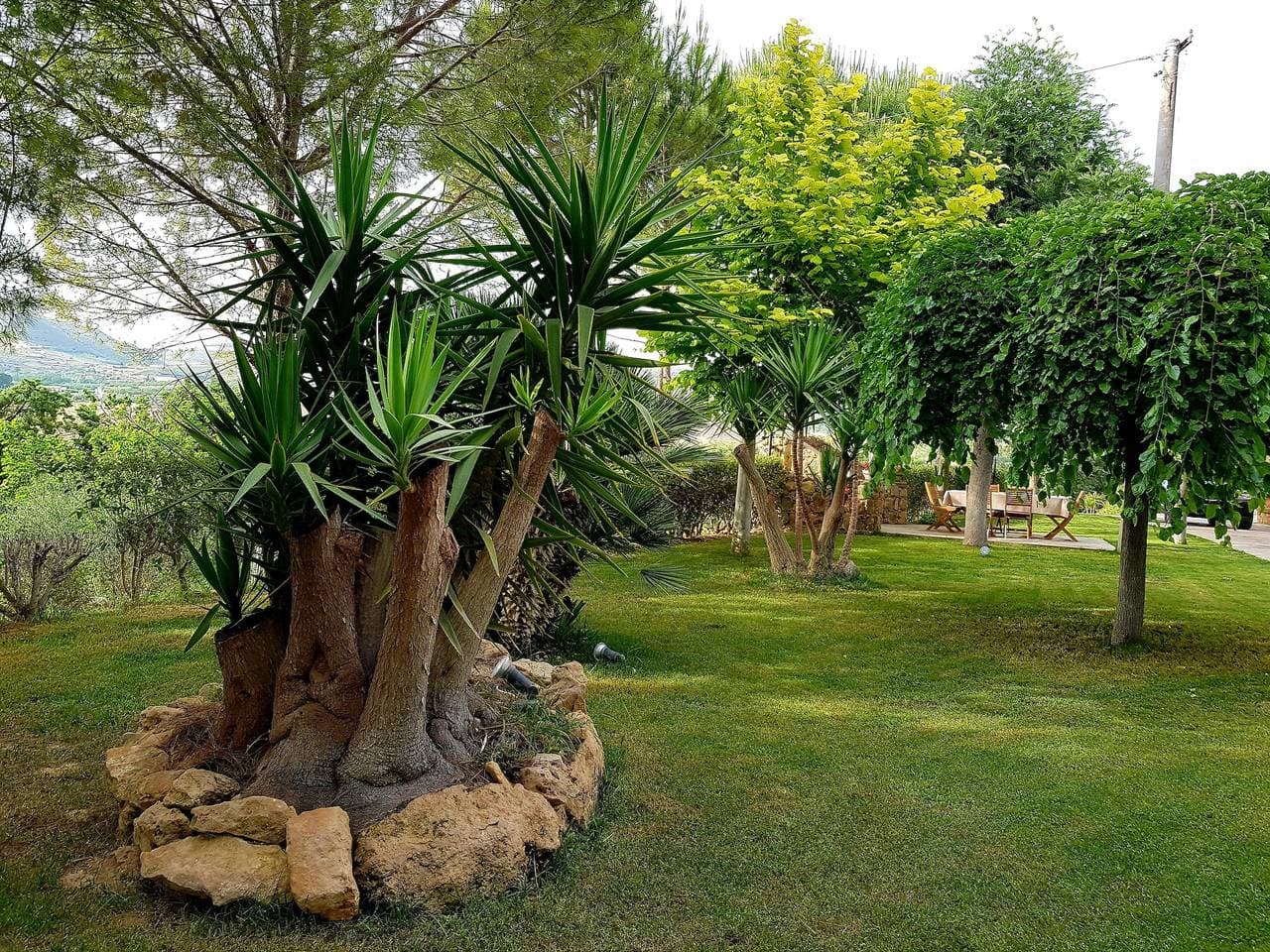 Foto 8 von 37: Villa „Oasi Bubbonia“ mit Pool, WLAN und Klimaanlage