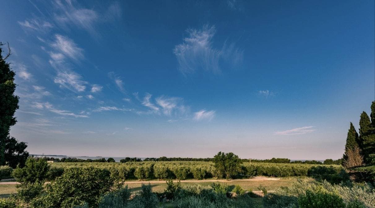 Foto 4 von 18: Studio für 2 Personen mit Terrasse