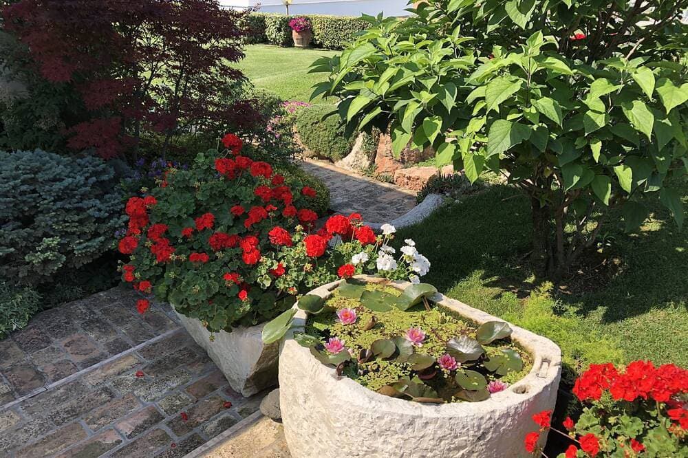 Foto 12 von 30: Apartment innerhalb einer Villa, großer Garten mit Blick auf See und Pool
