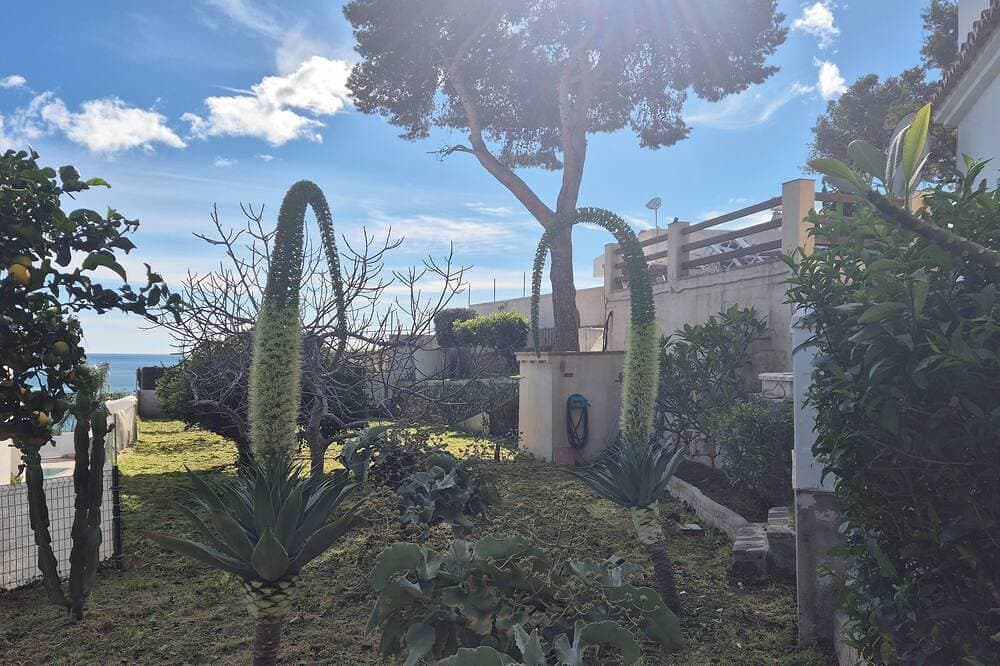 Foto 9 von 30: Atemberaubendes Anwesen, Aussicht, Garten und neuer Pool!