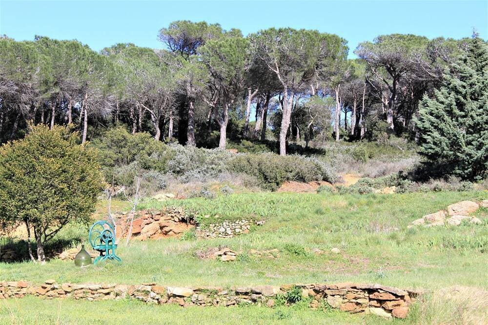Foto 13 von 19: Ein Ferienhaus Senteurs De Garrigue bietet Ruhe und Frieden in einer Ecke der Natur