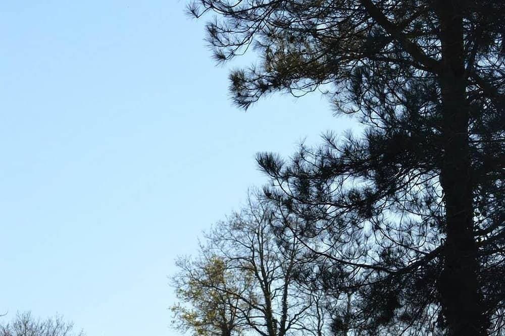 Foto 11 von 24: 🐿️ Cabane de l'Ecureuil