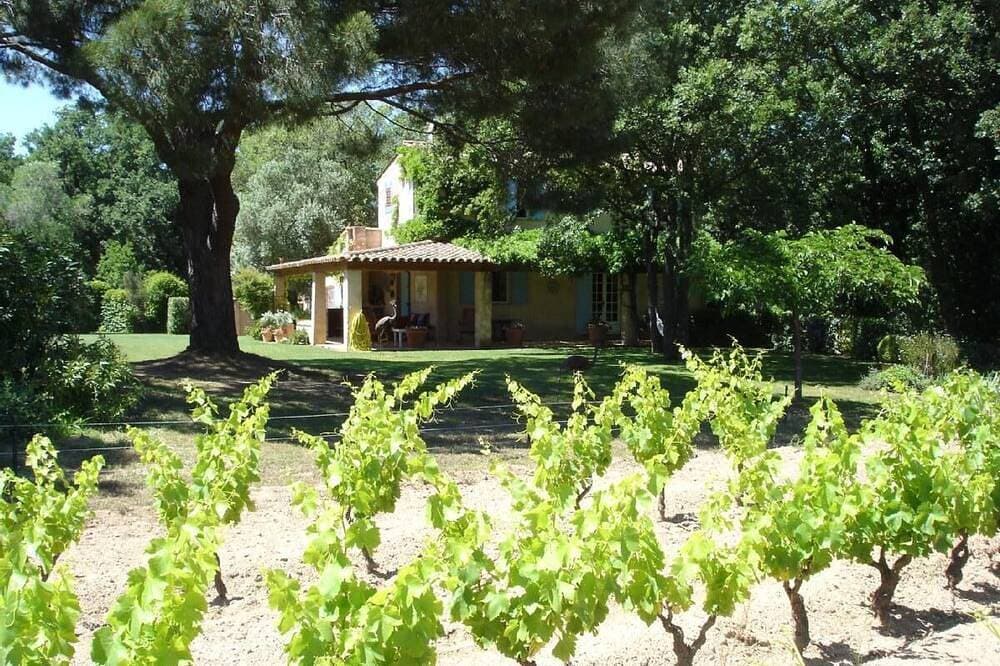 Landhaus in Weingärten nahe St Tropez. Verfügbarkeit im schönen Juni 2009! 1
